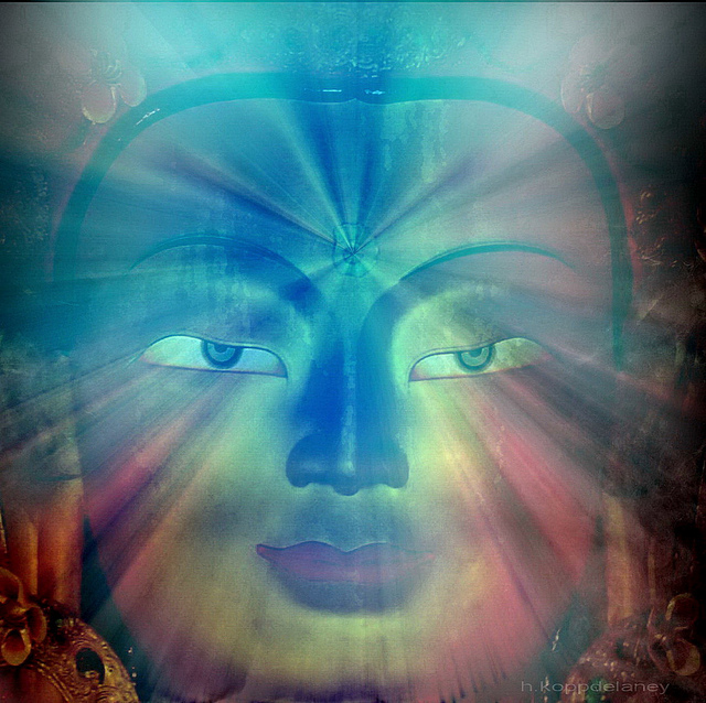 Flickr-Consciousness2-h_koppdelaney