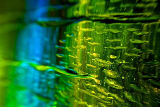 Flickr-oil-SB-Archer