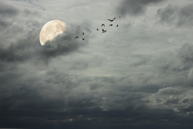 Flickr-Fear-irisb477